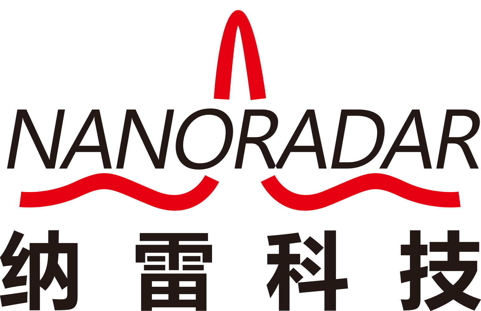 ../_images/supporters_logo_Nanoradar.png