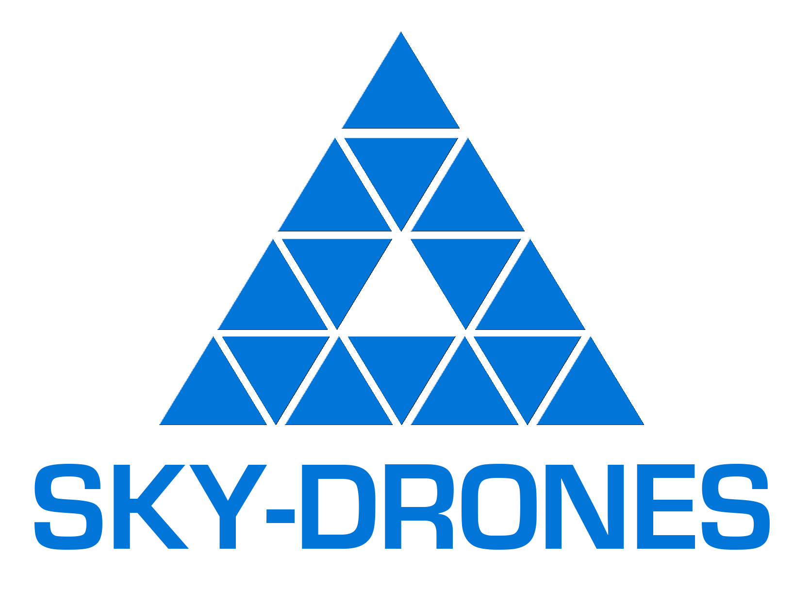 ../_images/supporters_logo_Sky-Drones.png
