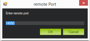 ../_images/mp_connecting_enter_remote_port.png