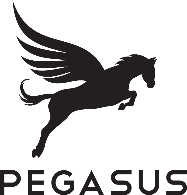 ../_images/supporters_pegasus_logo.png