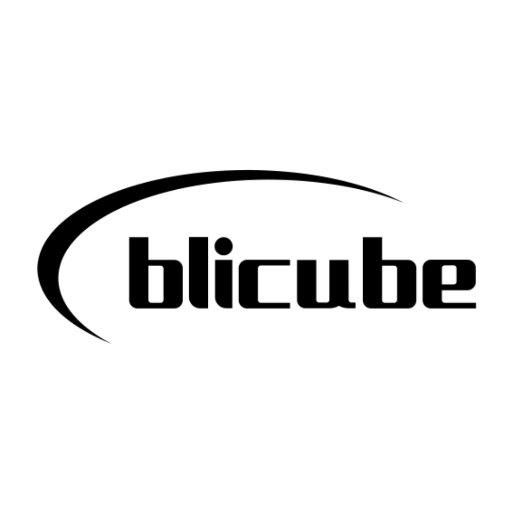 ../_images/supporters_logo_blicube.jpg