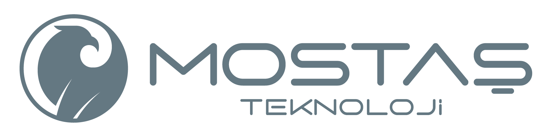 ../_images/supporters_logo_mostas.png